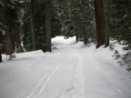 MK Winter11 Ed 015